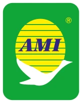 AMI